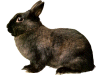 Captcha image 1401